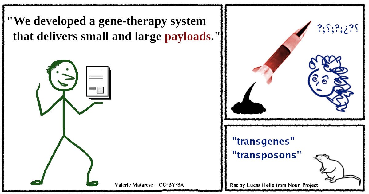 Scientific term or military metaphor?